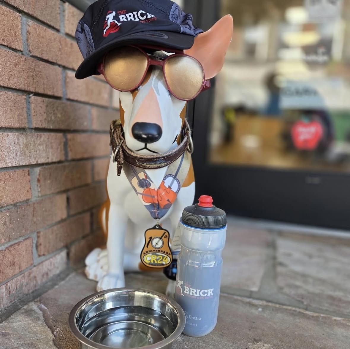 Albert the mascot with Brick hat and sunglasses